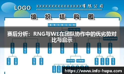 赛后分析：RNG与WE在团队协作中的优劣势对比与启示